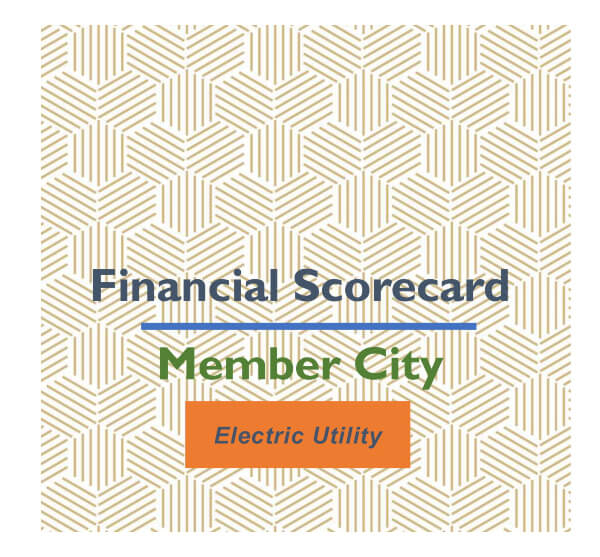 Financial Scorecard Cover (Sample)